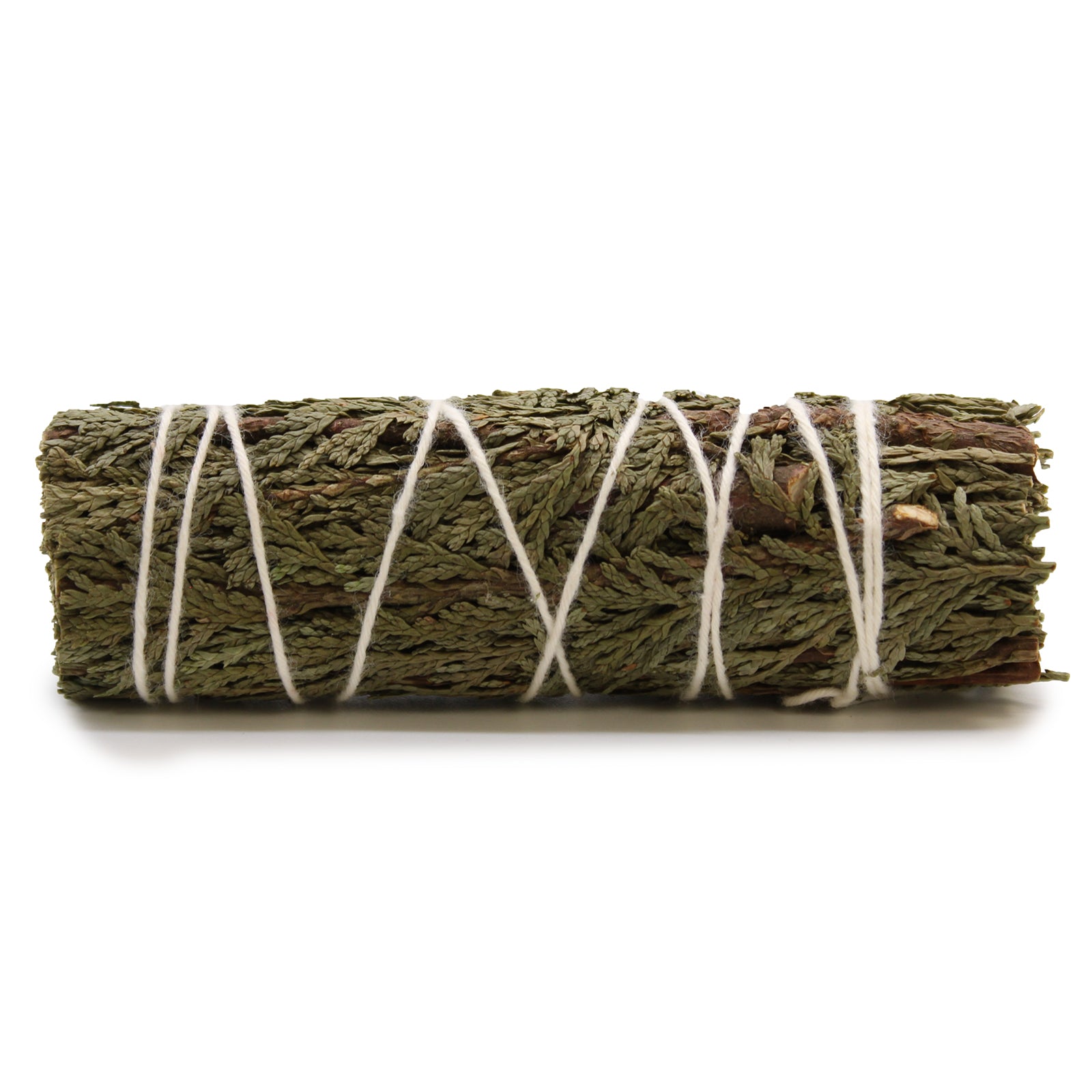 Cedar 11cm