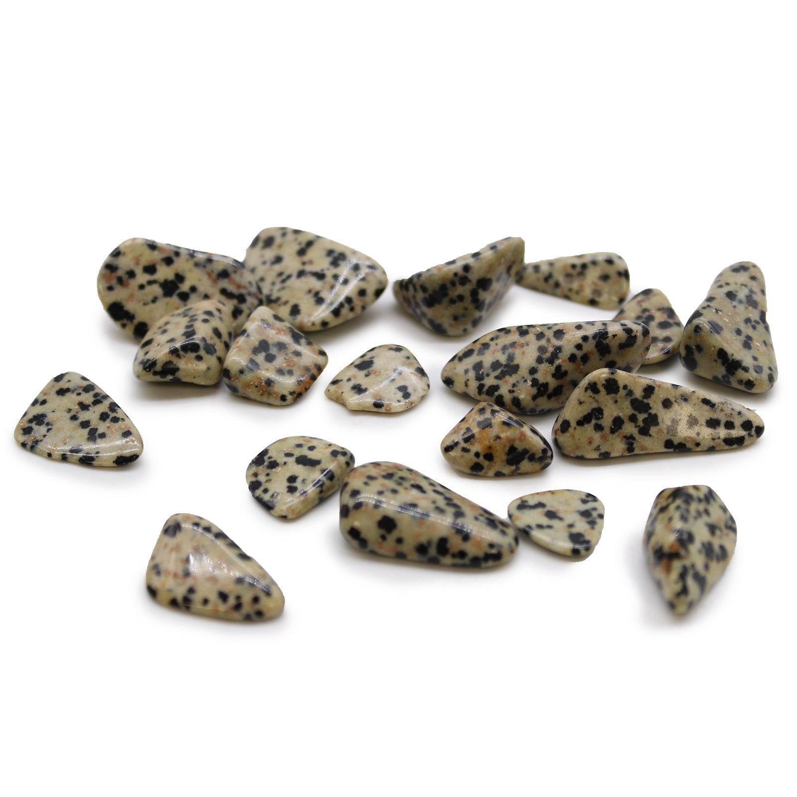 Dalmatian Jasper