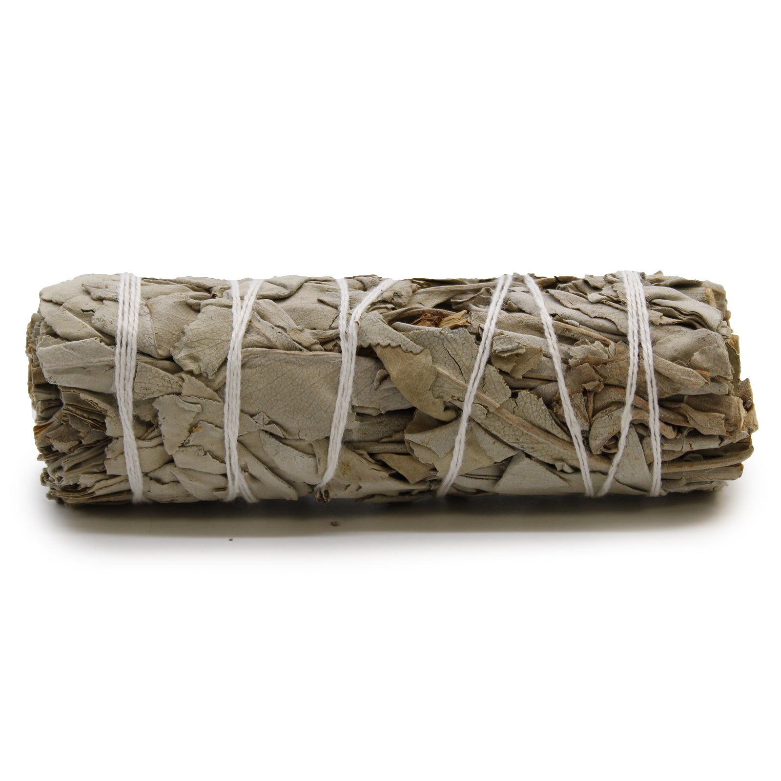 White Sage 10cm