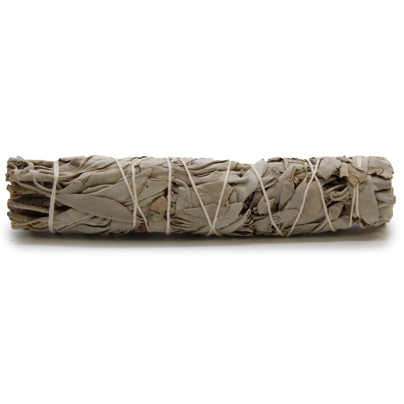 White Sage 15cm