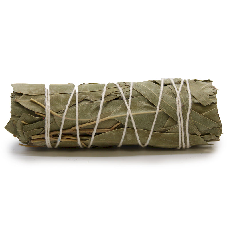 White Sage & Eucalyptus 10cm