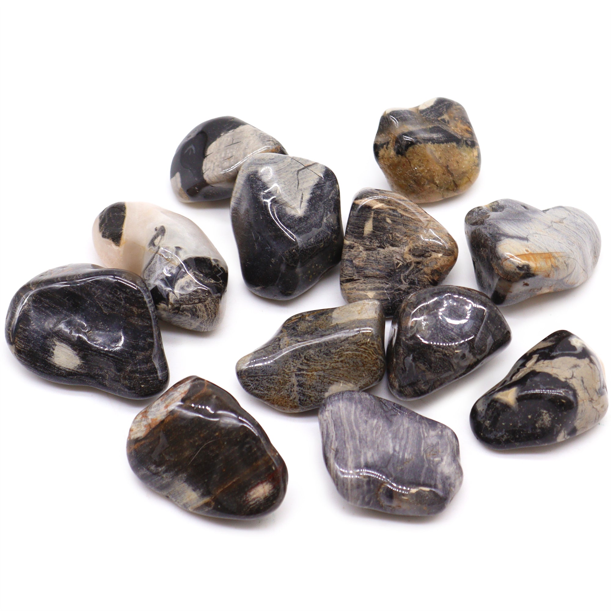 Silver Leaf Jasper